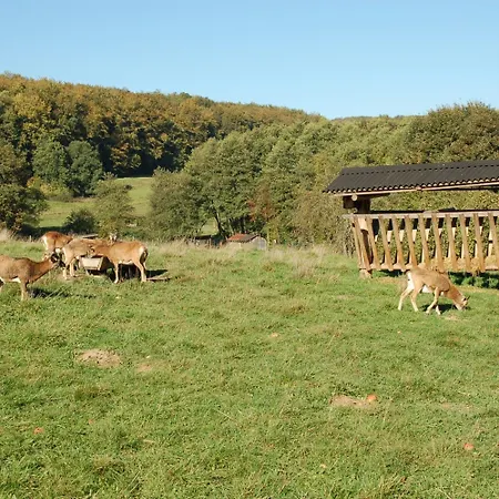 Wohlfuehlhotel Der Jaegerhof