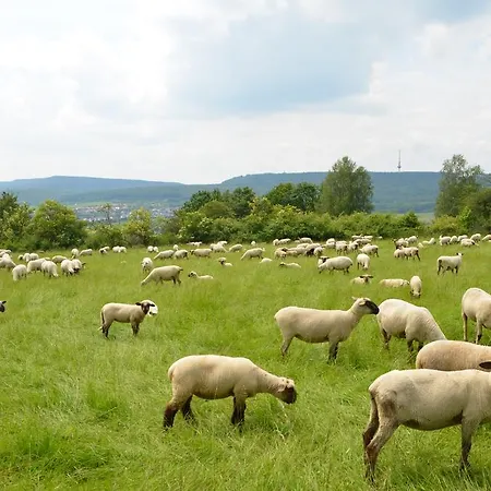Ξενοδοχείο Wohlfuehlhotel Der Jaegerhof Willebadessen