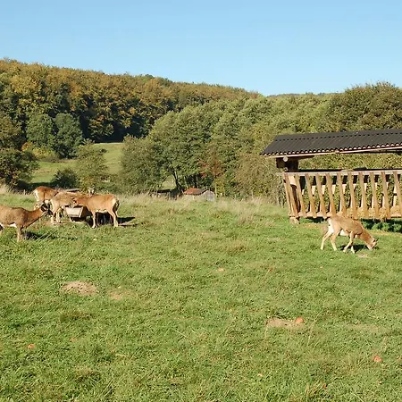 Hotel Wohlfuehlhotel Der Jaegerhof