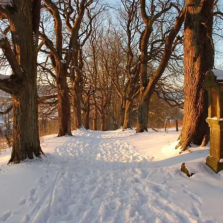 Wohlfuehlhotel Der Jaegerhof