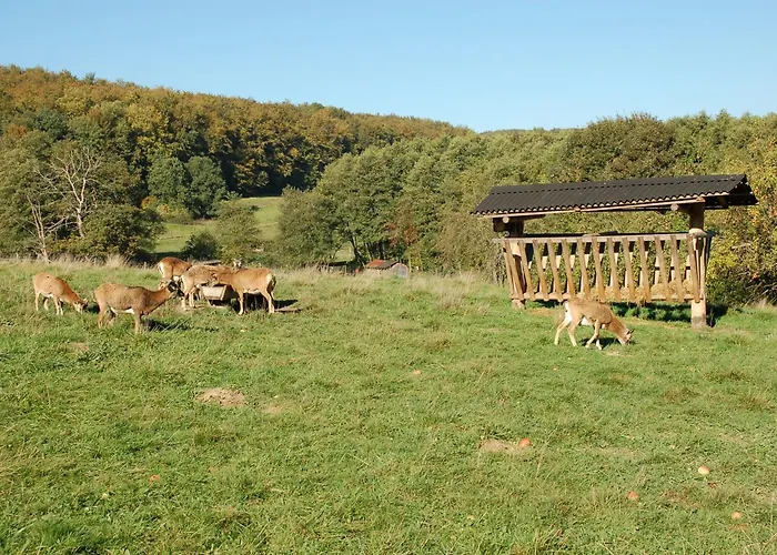 Wohlfuehlhotel Der Jaegerhof