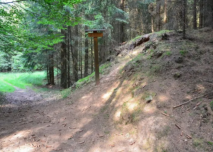 Wohlfuehlhotel Der Jaegerhof Willebadessen